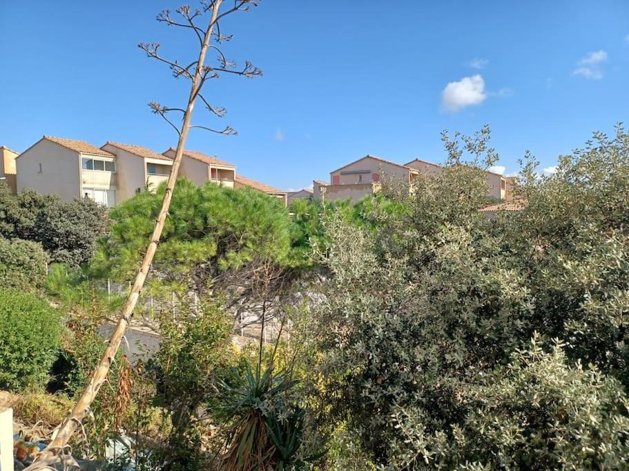Plain-Pied, Terrasse, Piscine, Pleine Vue Mer, Plage A 6' A Pied, Parking, Wifi Fleury (Aude) Exterior foto